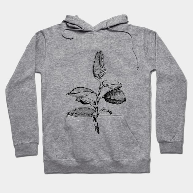 Ficus. Author's drawing. Modern Art. Hoodie by ElizabethArt